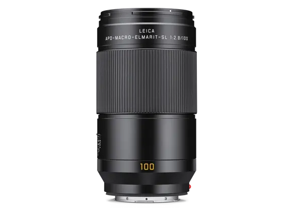 APO-Macro-Elmarit-SL 100 f/2.8